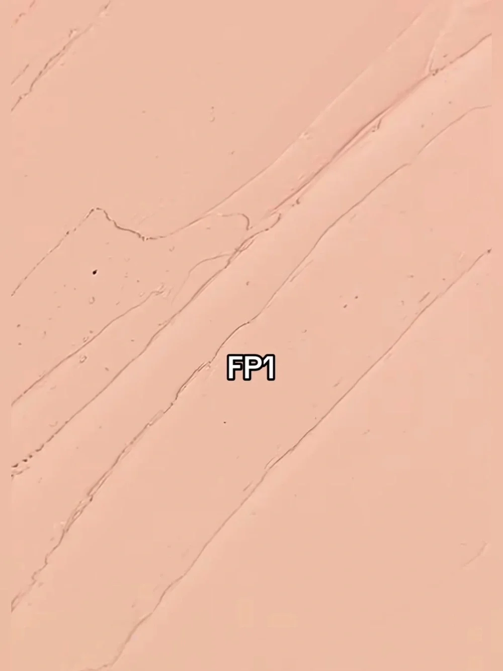 Made by Mitchell FP1 Flesh Pot Soft Matte Concealer- fair/ light warm undertone